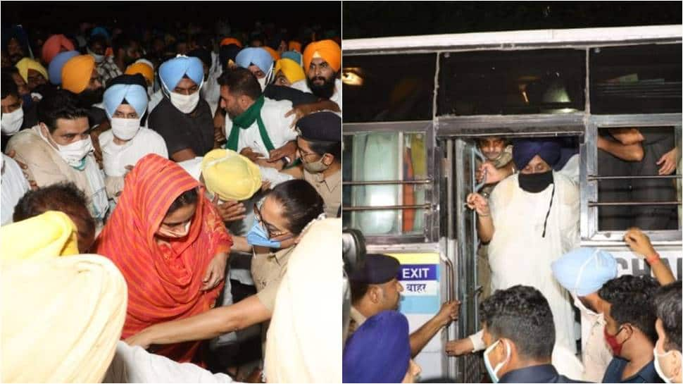 Shiromani Akali Dal leaders Sukhbir Badal, Harsimrat Kaur detained in Chandigarh for protesting against farm laws