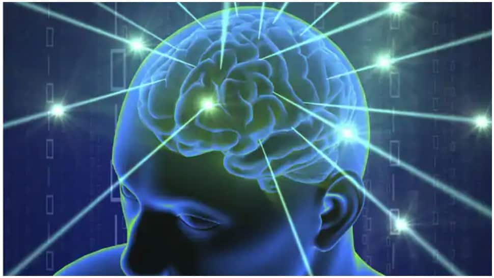How brain helps us navigate social differences, reveals research