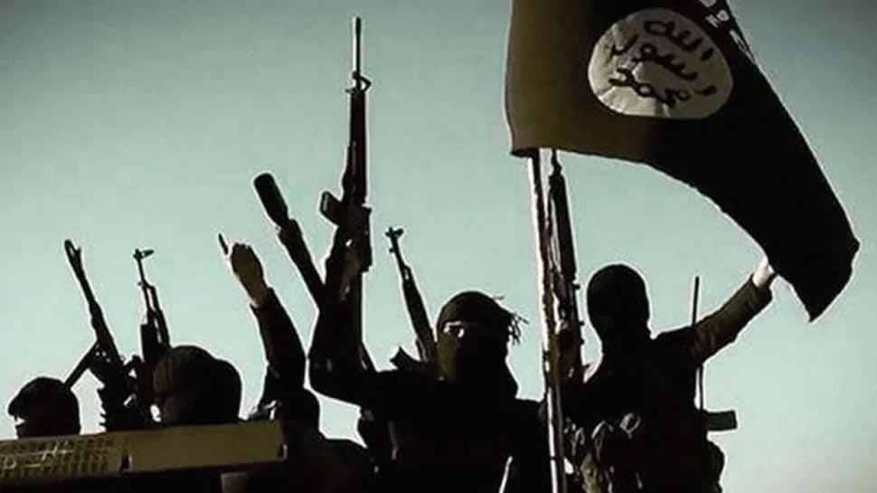 Delhi court sentences 15 ISIS operatives to varying jail terms in conspiracy case