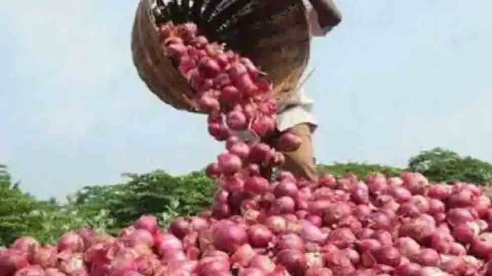 Onion prices to touch new high during Diwali — Check rates from Lasalgaon mandi