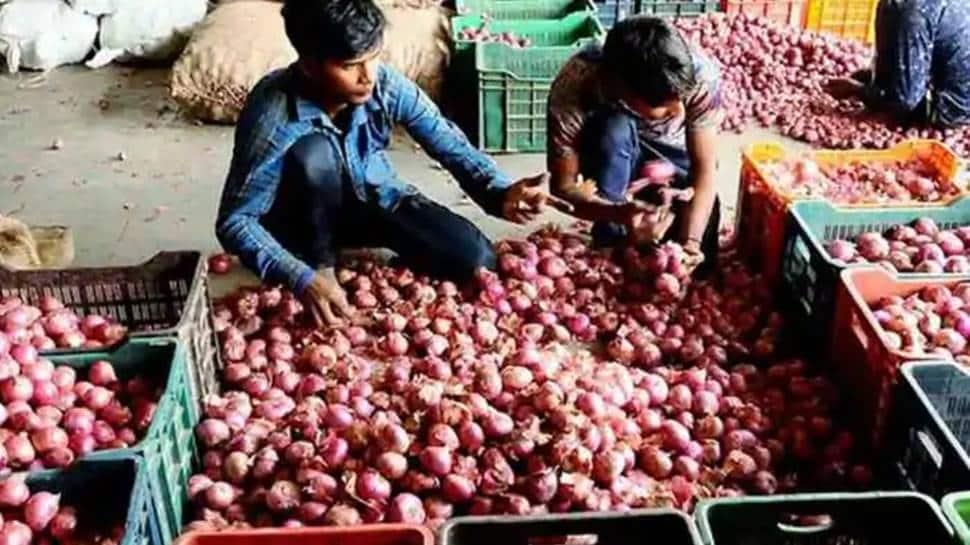 Onion prices jump significantly, to touch new high during Diwali - Check rates here