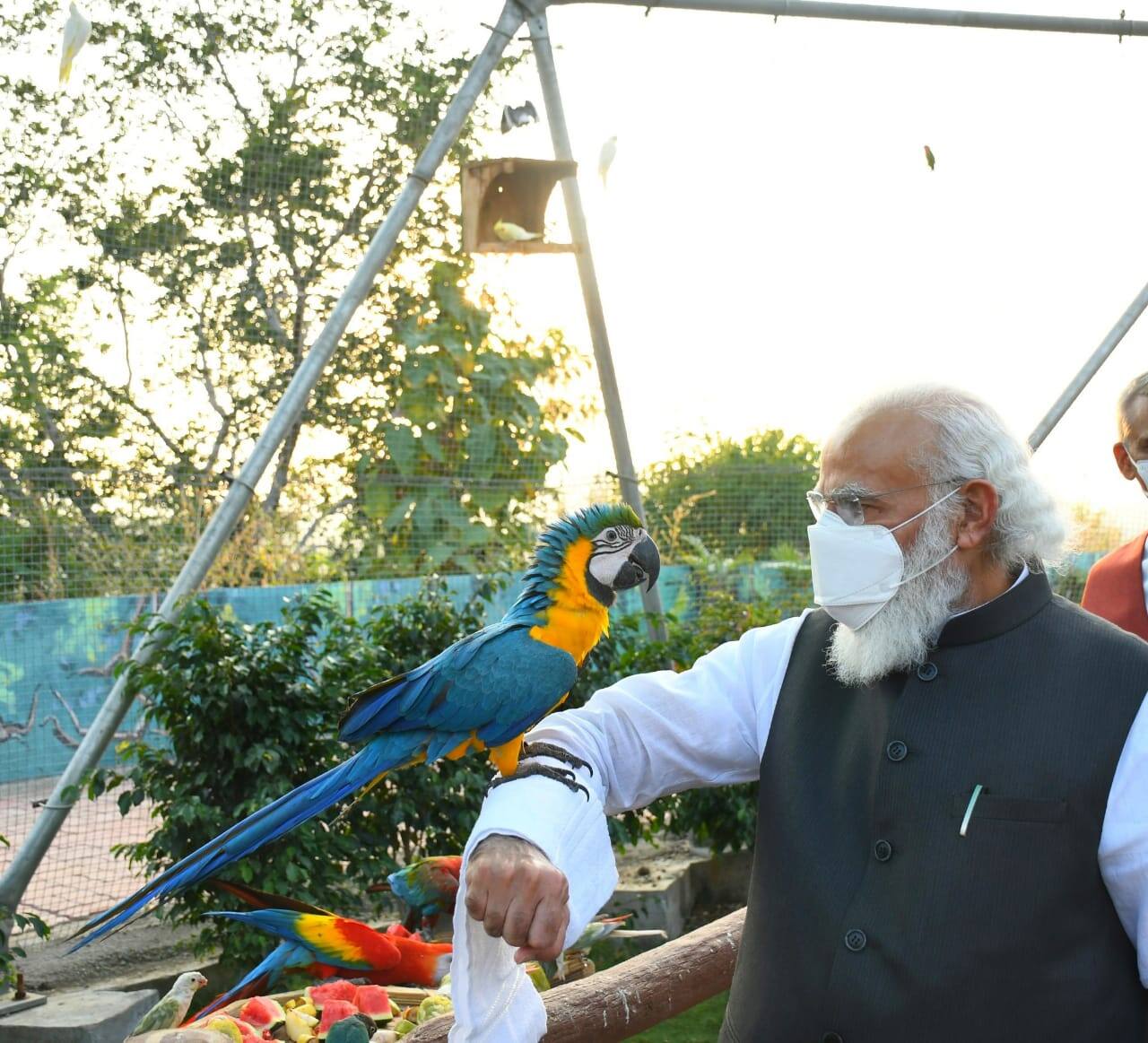 PM Narendra Modi in Gujarat