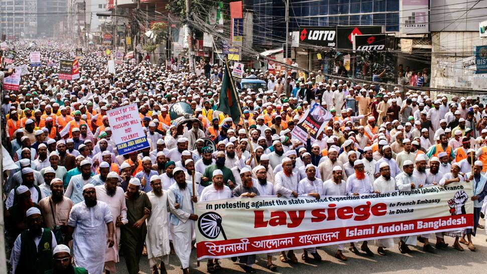 Protest against France