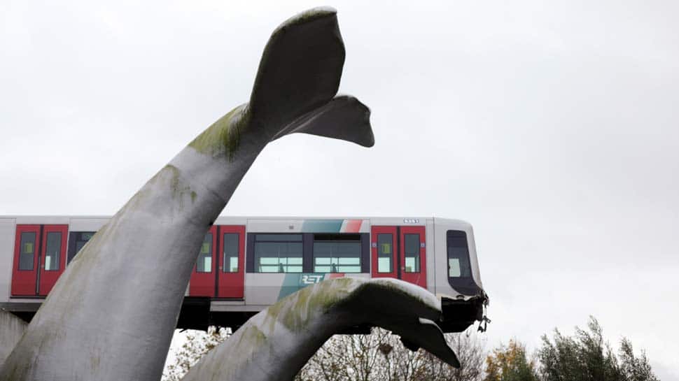 What a tale! Tram runs off track in Netherlands, gets saved by whale&#039;s tail