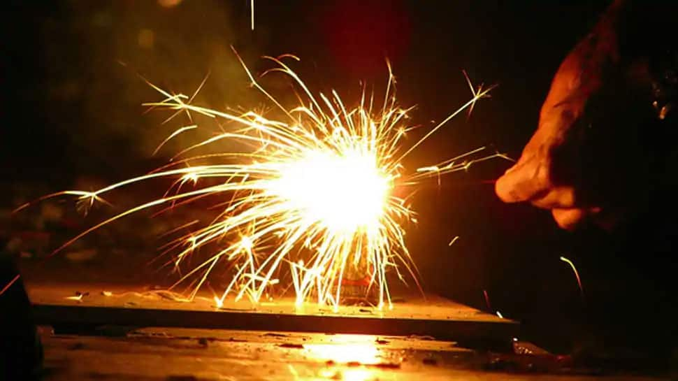 BMC bans bursting of firecrackers at public places in Mumbai, violators to face action  