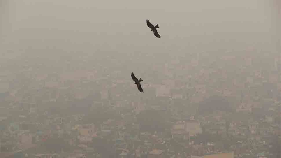 Delhi-Noida choke as air quality remains &#039;severe&#039; for fifth consecutive day