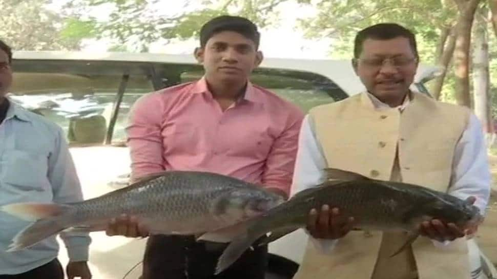 Bihar Assembly election 2020 results: RJD supporters gift Tejashwi Yadav live fish for good luck