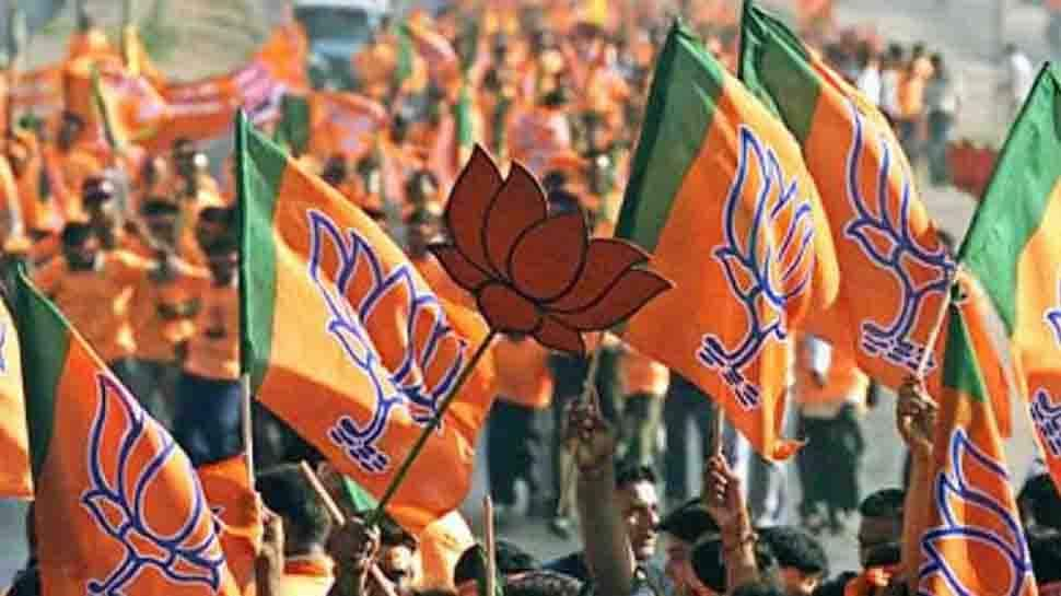 After Bihar Assembly election 2020, BJP and JD(U) win local body polls in these places