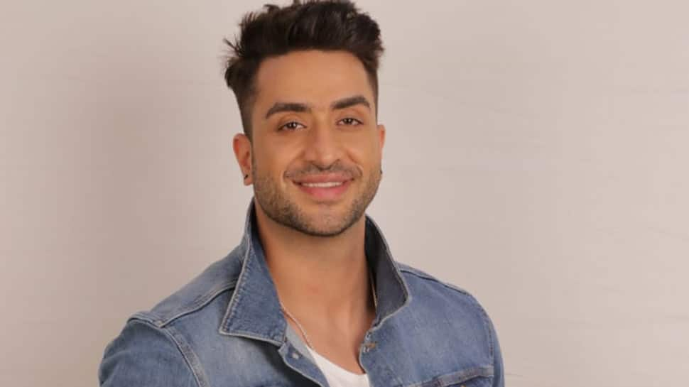 Bigg Boss 14, Synopsis: Aly Goni becomes the new captain, Nikki Tamboli wreaks havoc!