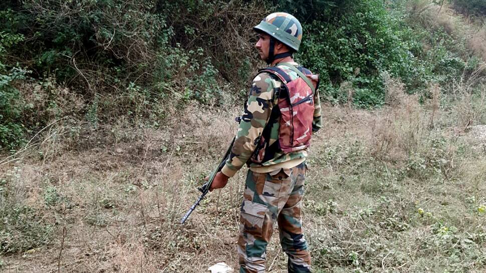 BSF shoots dead Pakistan intruder along IB in Jammu and Kashmir&#039;s Samba