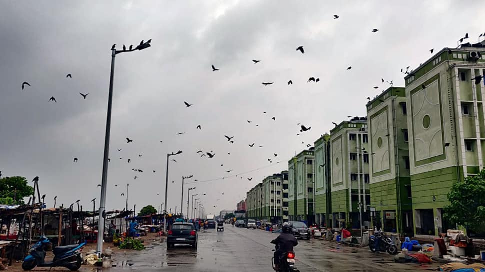 Cyclone Nivar: Indigo cancels 49 flights to and from southern India; check details