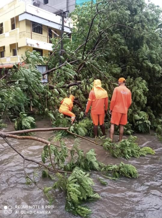 Cyclone Nivar hits TN