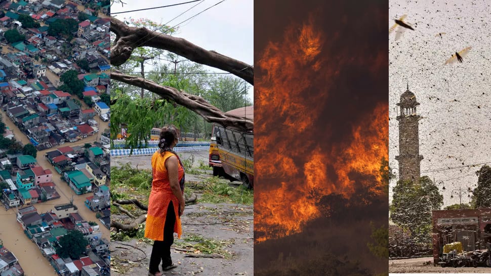 Yearender 2020 Major natural disasters that shook India and rest of