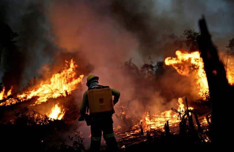 Amazon rainforest fires