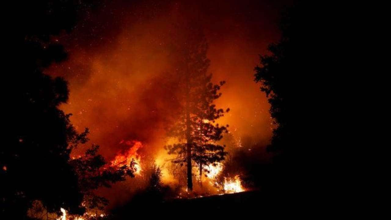 Gender reveal party leads to California fire