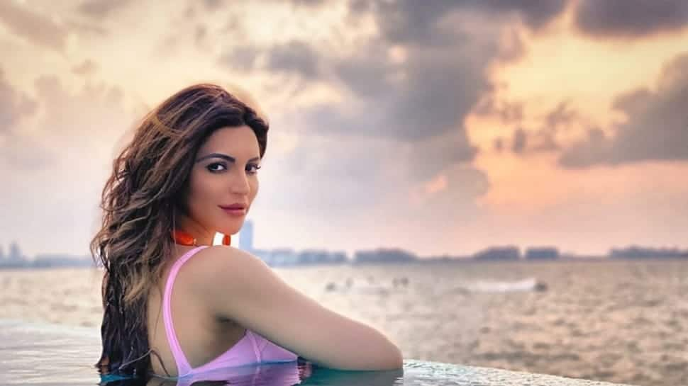 Shama Sikander takes to pole dancing in Dubai, shares video 