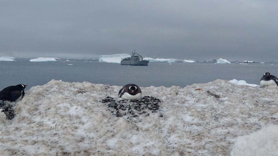 Coronavirus now reaches Antarctica, the last continent previously COVID-19 free