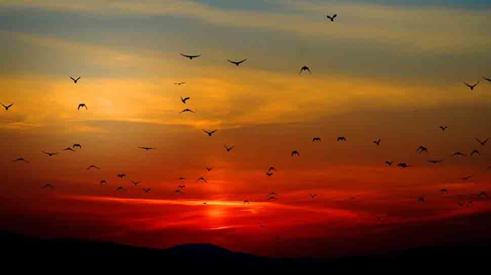 New Year 21 Check Out First Sunrise Pics From These Indian Cities Viral News Zee News New Year 21 Check Out First Sunrise Pics From These Indian Cities Viral News Zee News