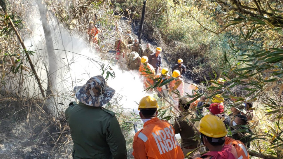 Dzukou valley wildfire: More NDRF personnel, IAF helicopters rushed to Manipur-Nagaland border Dzukou valley wildfire: More NDRF personnel, IAF helicopters rushed to Manipur-Nagaland border