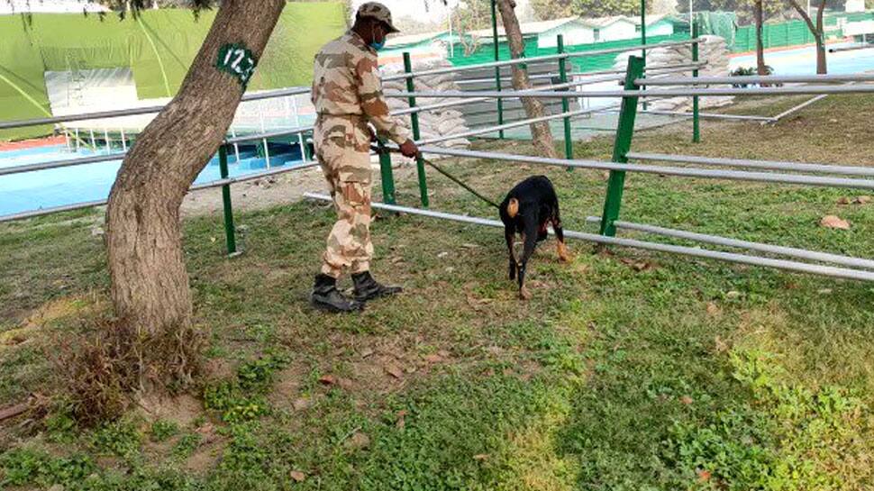 ITBP&#039;s crack K9 commandos, Belgian Malinois dogs to secure Rajpath on Republic Day
