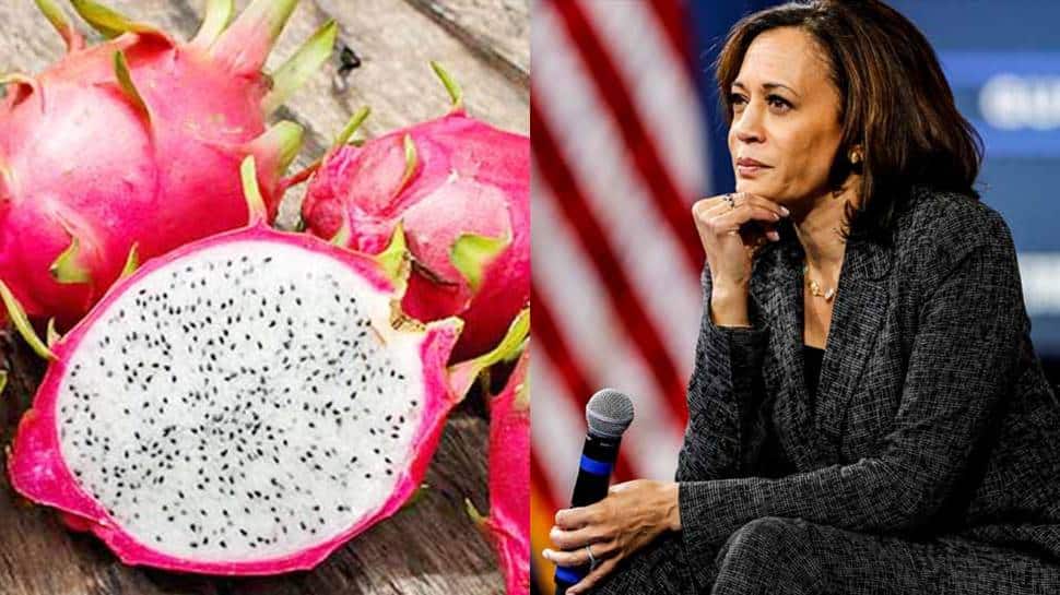 After dragon fruit renamed as &#039;kamalam&#039;, Twitter gets flooded with hilarious memes on Kamala Harris