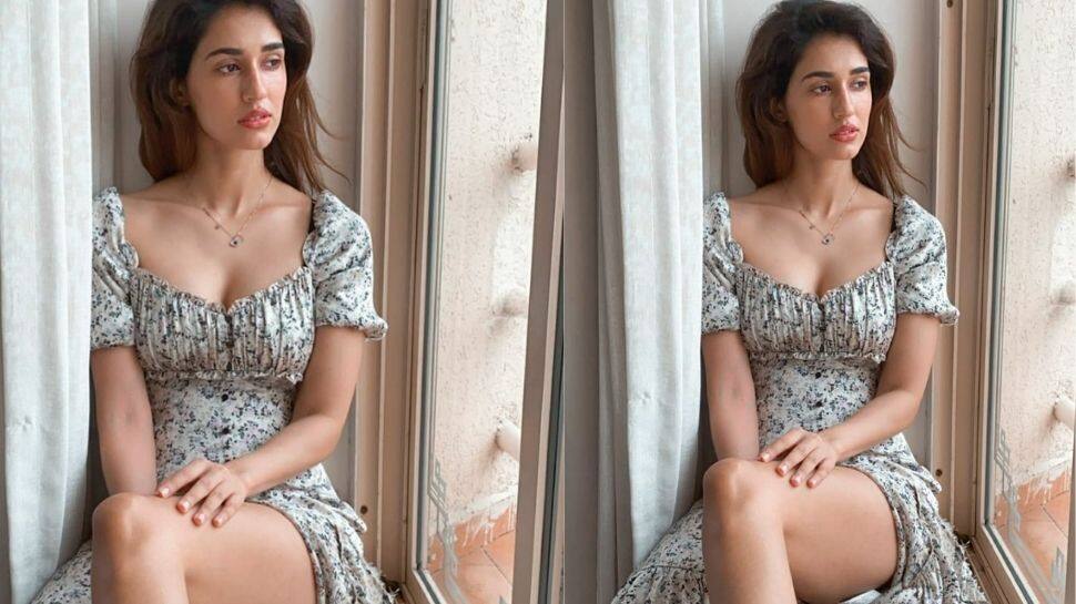 Disha Patani's upcoming films