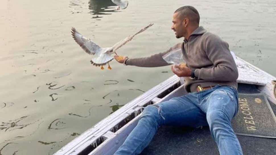 Shikhar Dhawan feeds birds during boat ride in Varanasi, boatman to face action