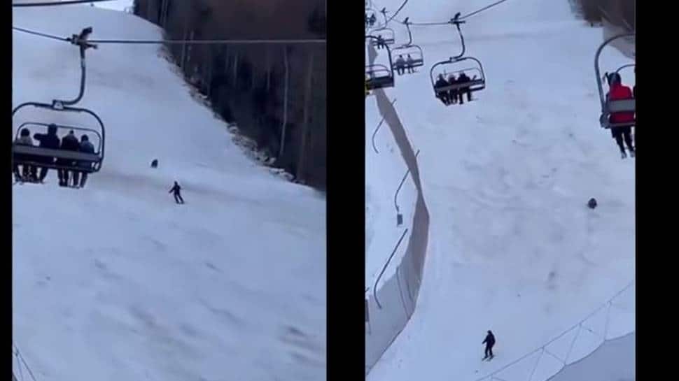 Bear chases a skier down a mountain slope in Romania - scary video goes viral