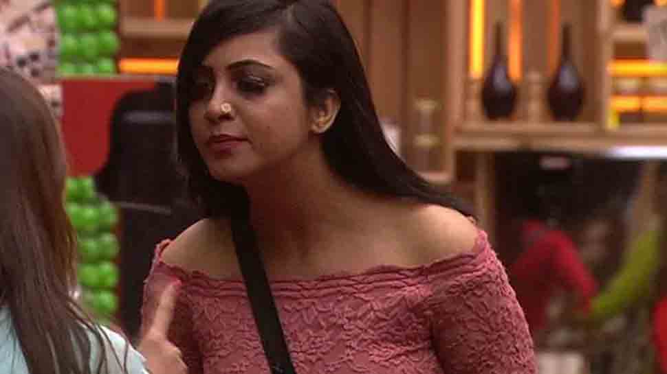 Arshi Khan eliminated from Bigg Boss 14, Aly Goni gets emotional, Rahul Vaidya recites shayari