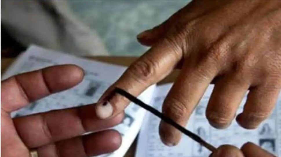 Andhra Pradesh Gram Panchayat elections underway; check Phase 1 poll districts 