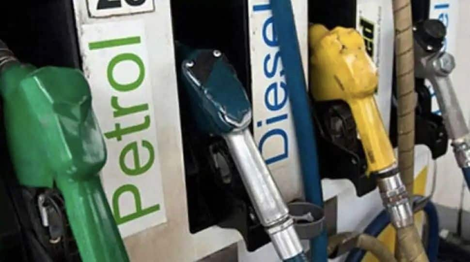 Petrol price crosses Rs 100 per litre in THIS city; fuel stations close