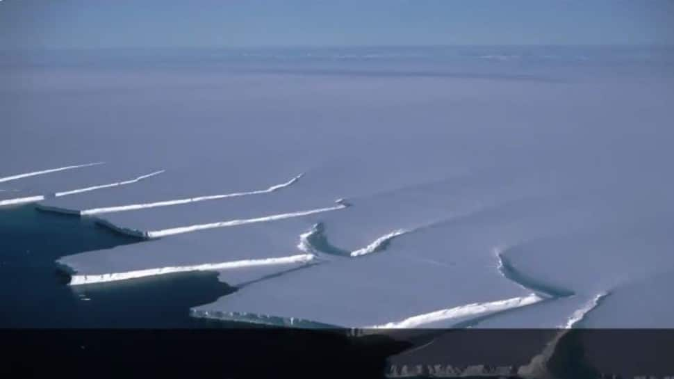 Scientists find life 900 metres below ice sheet in Antarctica, possibility of new species to be ascertained