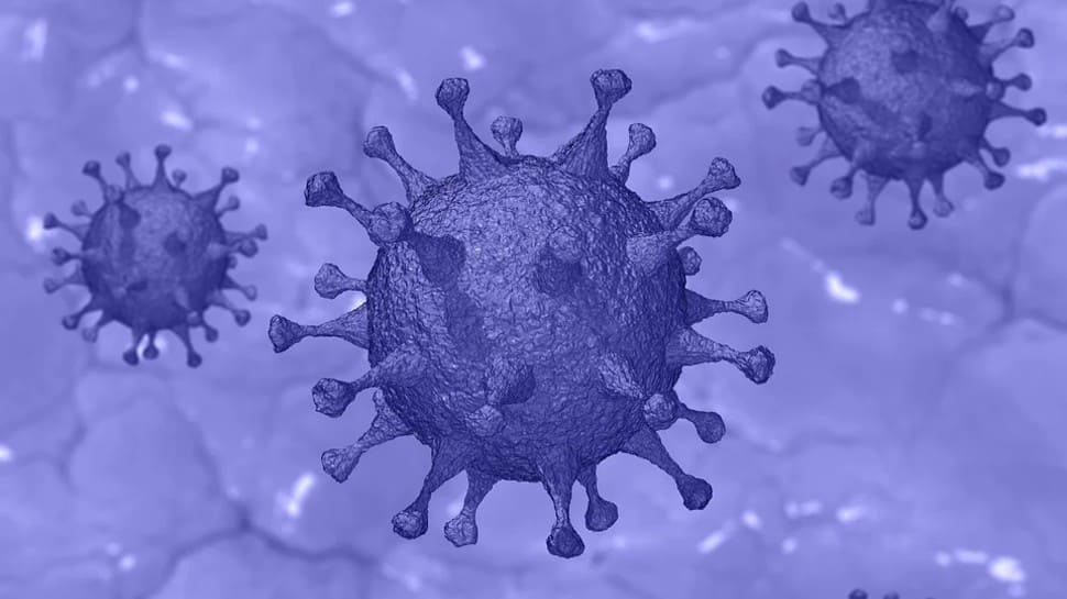 Four COVID-19 cases of South African variant, one of Brazilian reported in India