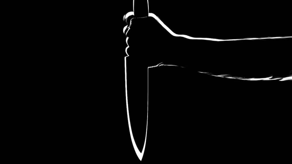 Youth stabs mother to death over money for liquor in Delhi