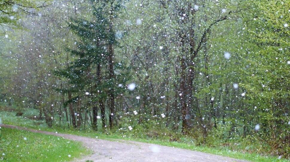 IMD warns of rain, hailstorm due to western disturbances in parts of north India, issues alert