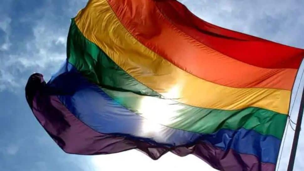 Centre opposes petitions to recognise same sex marriage under SMA in Delhi High Court