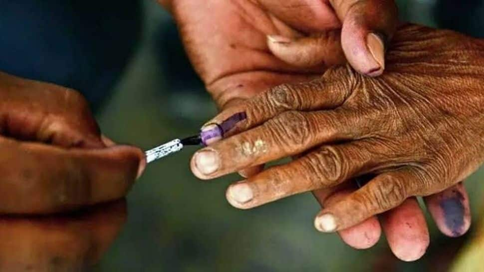 Counting of Gujarat local bodies polls on Tuesday