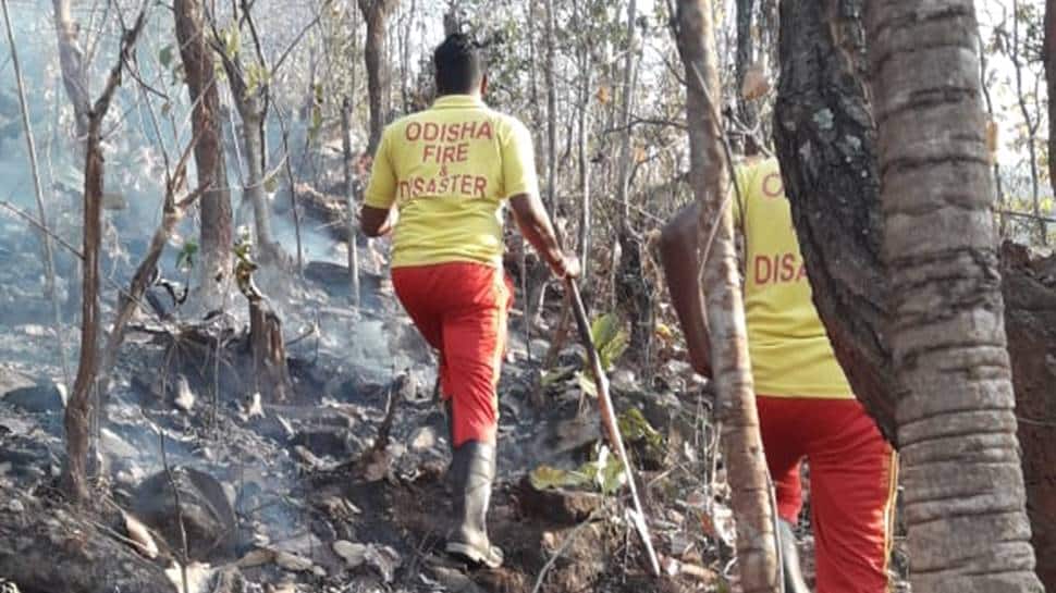 Expert panel sent to help Odisha govt manage Similipal forest fire: Environment minister