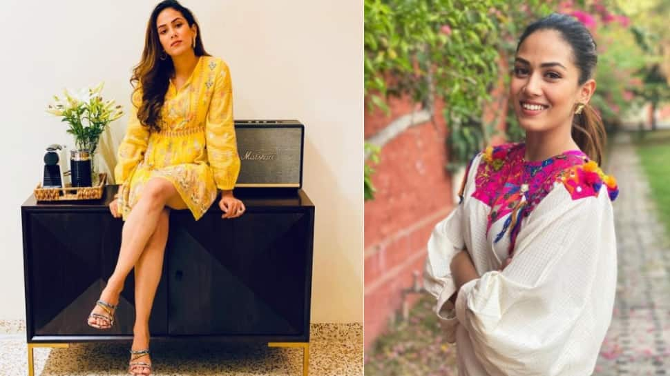 Mira Kapoor stuns in this multicolour saree, check out her look