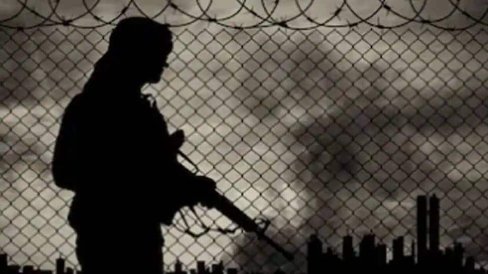 Nearly 200 terrorists active, another 250 in launch pads across LoC, says J&amp;K DGP Dilbag Singh