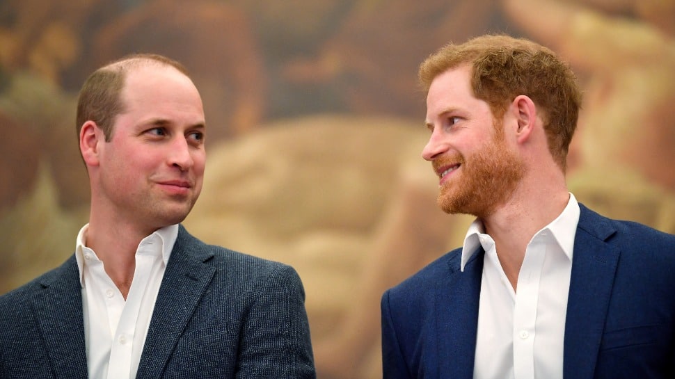 Prince Harry, Prince William to reunite at Princess Diana memorial despite tensions