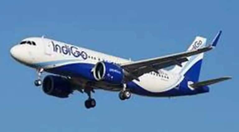 Woman gives birth to baby girl onboard IndiGo Bengaluru-Jaipur flight 