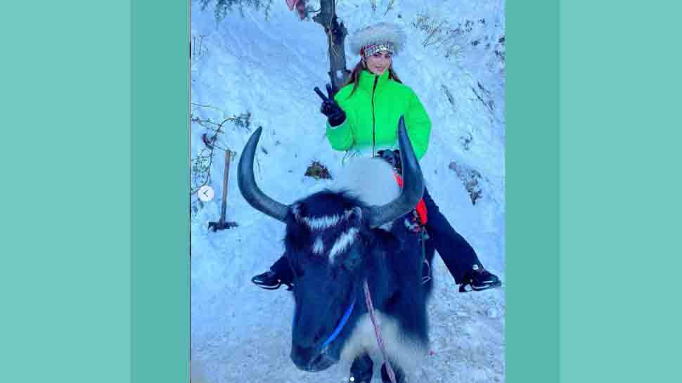 Urvashi Rautela enjoys a ride on yak in neon green jacket, celebrates 35 million followers on Instagram