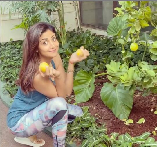 Shilpa Shetty's kitchen garden