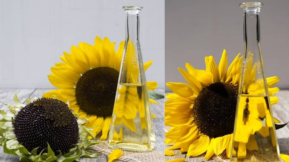 Sunflower Oil