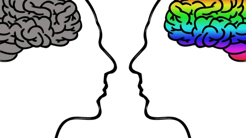 Men and Women brains are different, find out how