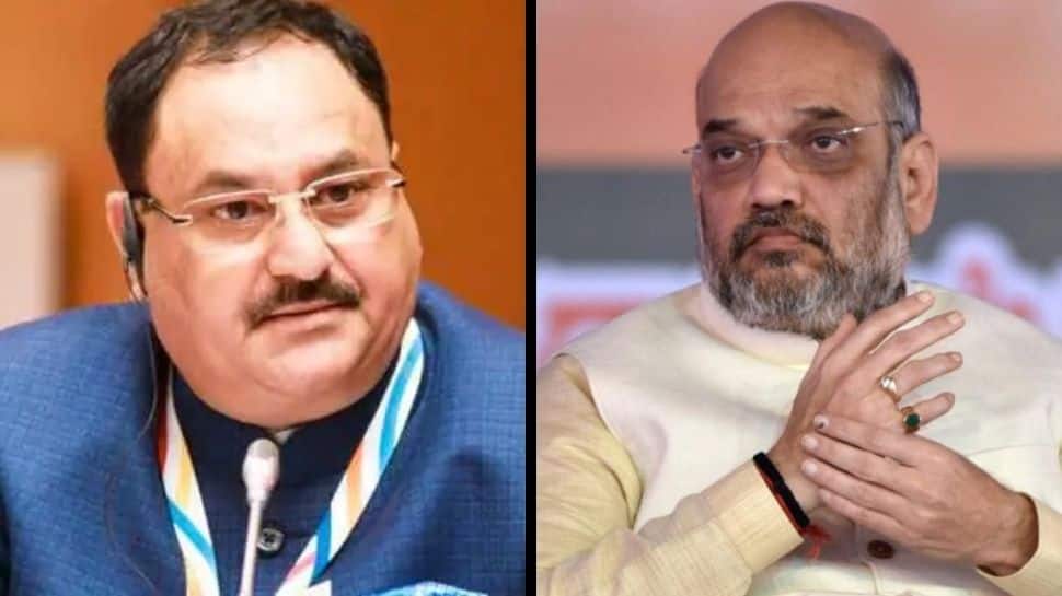 Amit Shah, JP Nadda express grief over death of 85-year-old mother of BJP worker who was allegedly attacked by TMC workers