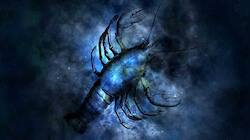 Horoscope: This zodiac sign should check on immunity amid COVID-19 spike