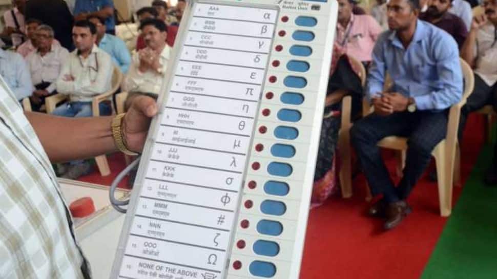 Karnataka byelections 30 candidates in fray for Lok Sabha
