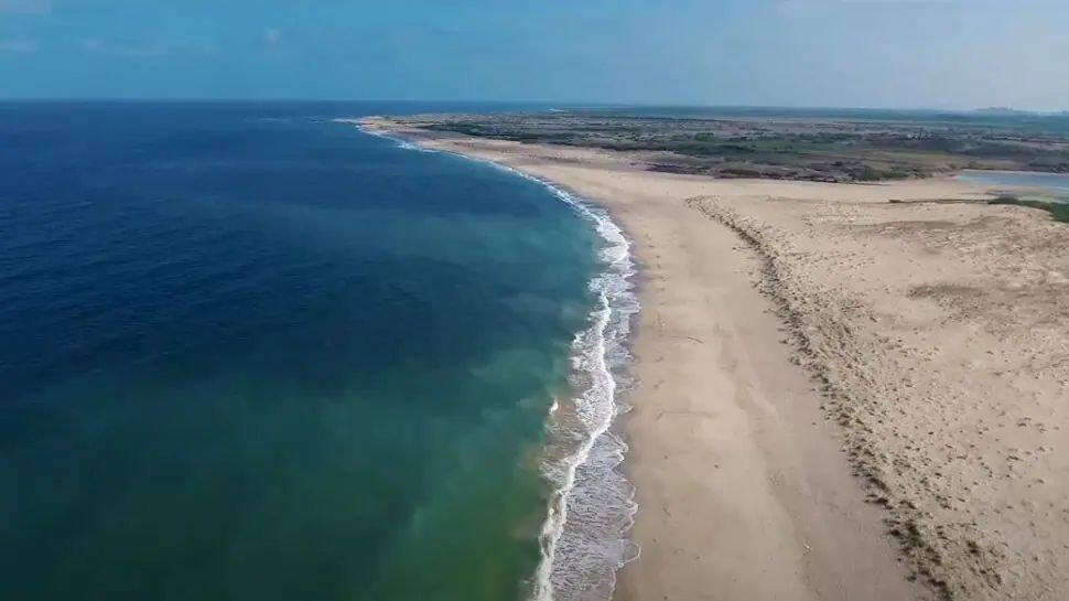 Tamil Nadu shuts beaches in Chennai, two other districts on weekends to curb COVID-19 spread
